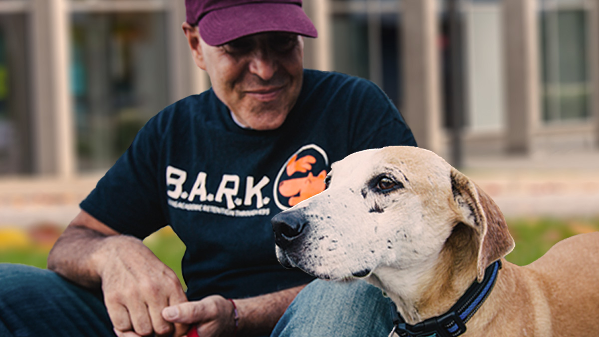 Office of the Provost and Vice-President, Academic tweet media