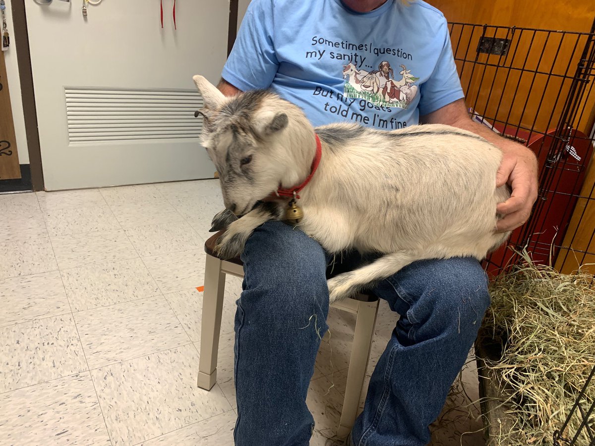 WindomElem's tweet photo. Kids these days…Mr. Morton@visiting kindergarten and PreK students. 🐐 https://t.co/cb96bFBbl6