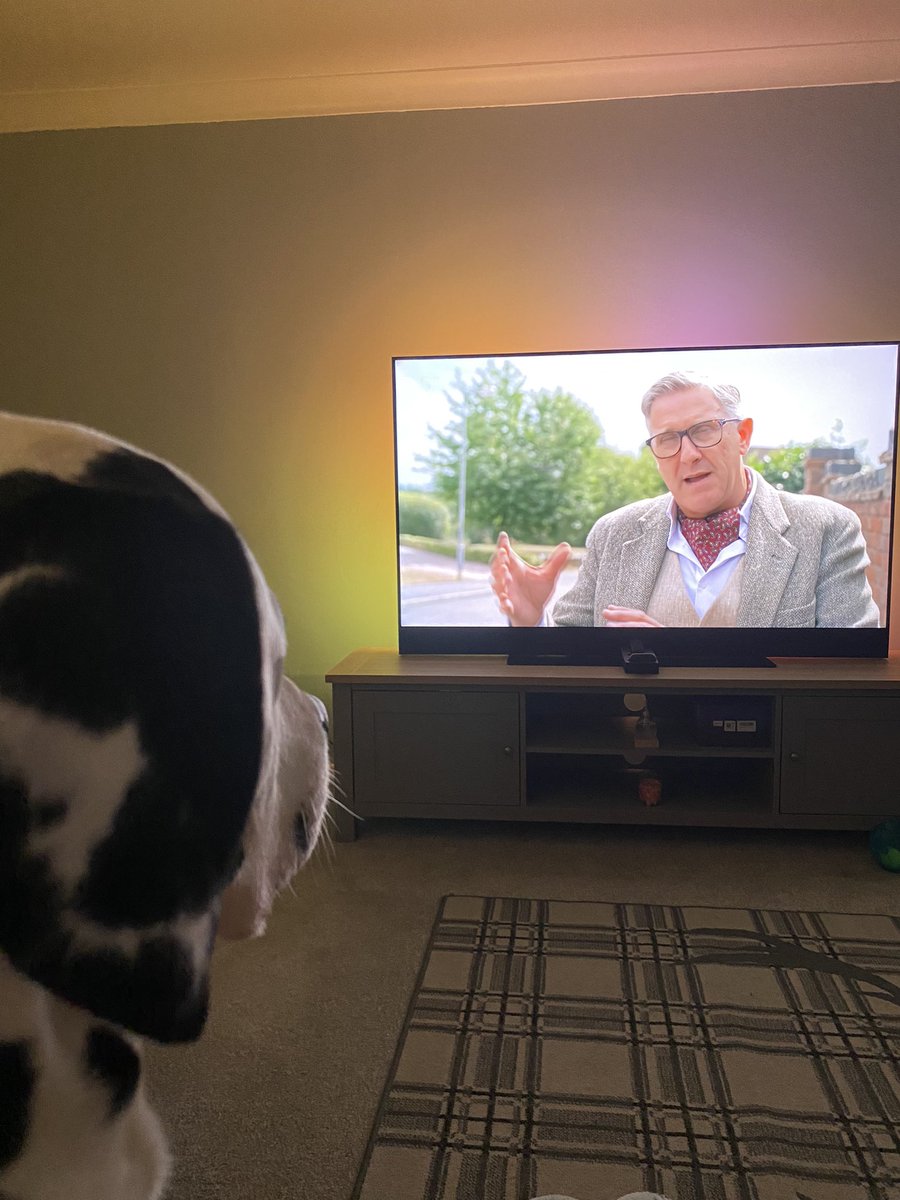Sclaire88's tweet photo. @GraemeDogfather Loki’s fav time of the week, he is glued to Doodle!! https://t.co/muOn2BTzbm