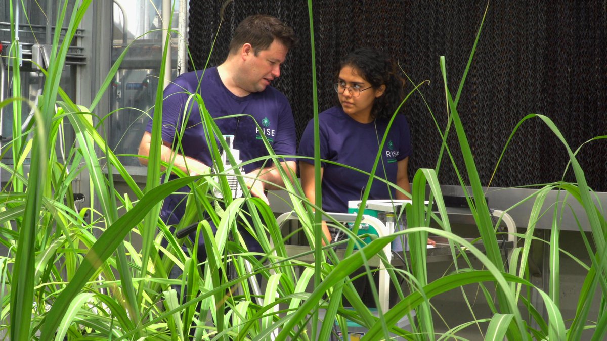 CABBIbio's tweet photo. Want to learn more about our RISE paid summer research internships for underrepresented students?

✅ Visit our website for details &amp; testimonials!
 https://t.co/7DEcq3QKeH
✅ Attend a Jan. 19 @UofIllinois webinar on summer undergrad research internships!
 https://t.co/KKGZmDxcnw https://t.co/UDeGBFuLSl