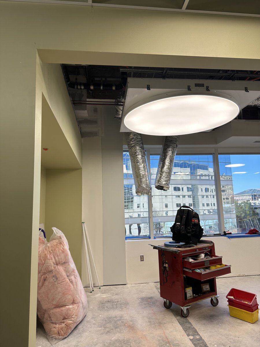 We have drywall and paint! Our young adult advisory board wanted our infusion space to feel as natural as possible - excited to see our forest start to come to life!