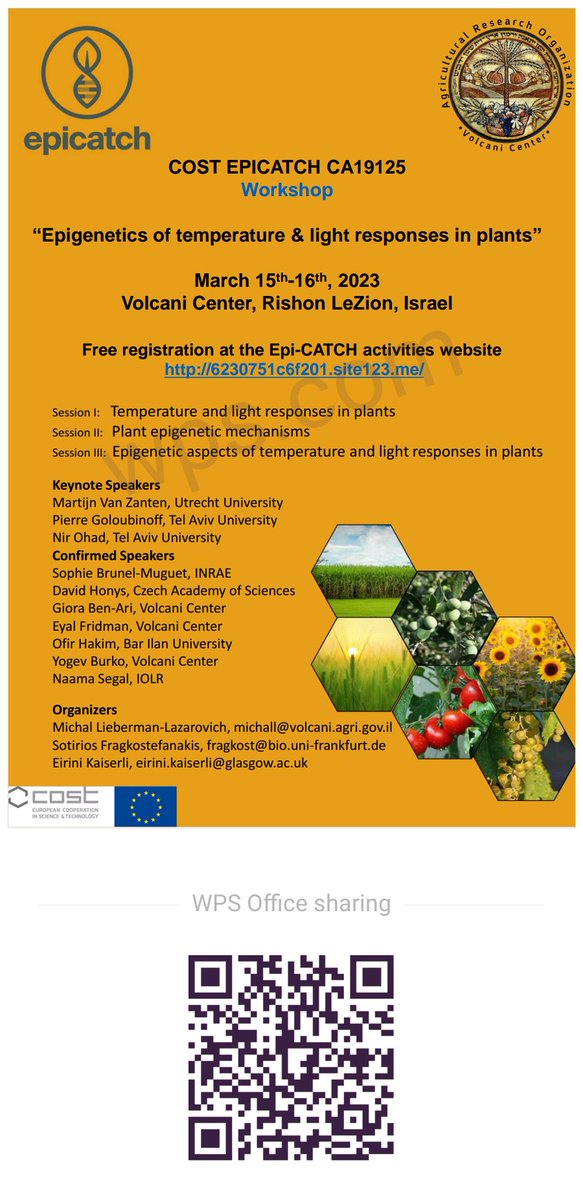 Announcing an upcoming workshop by EPI-CATCH this March in Volcani on Epigenetics of temperature and light responses in plants ☘️🌻☀️