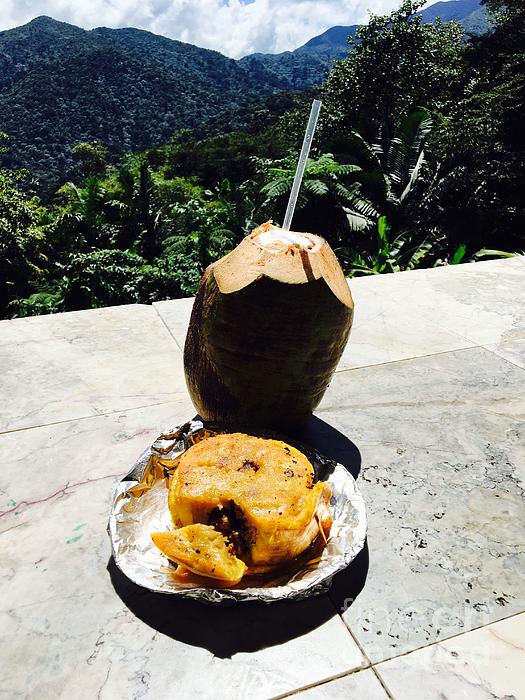 ATerrillFineArt's tweet photo. New artwork for sale! - "Lunch at El Yunque" - https://t.co/RntAXKixev @fineartamerica https://t.co/4397ApfIVg