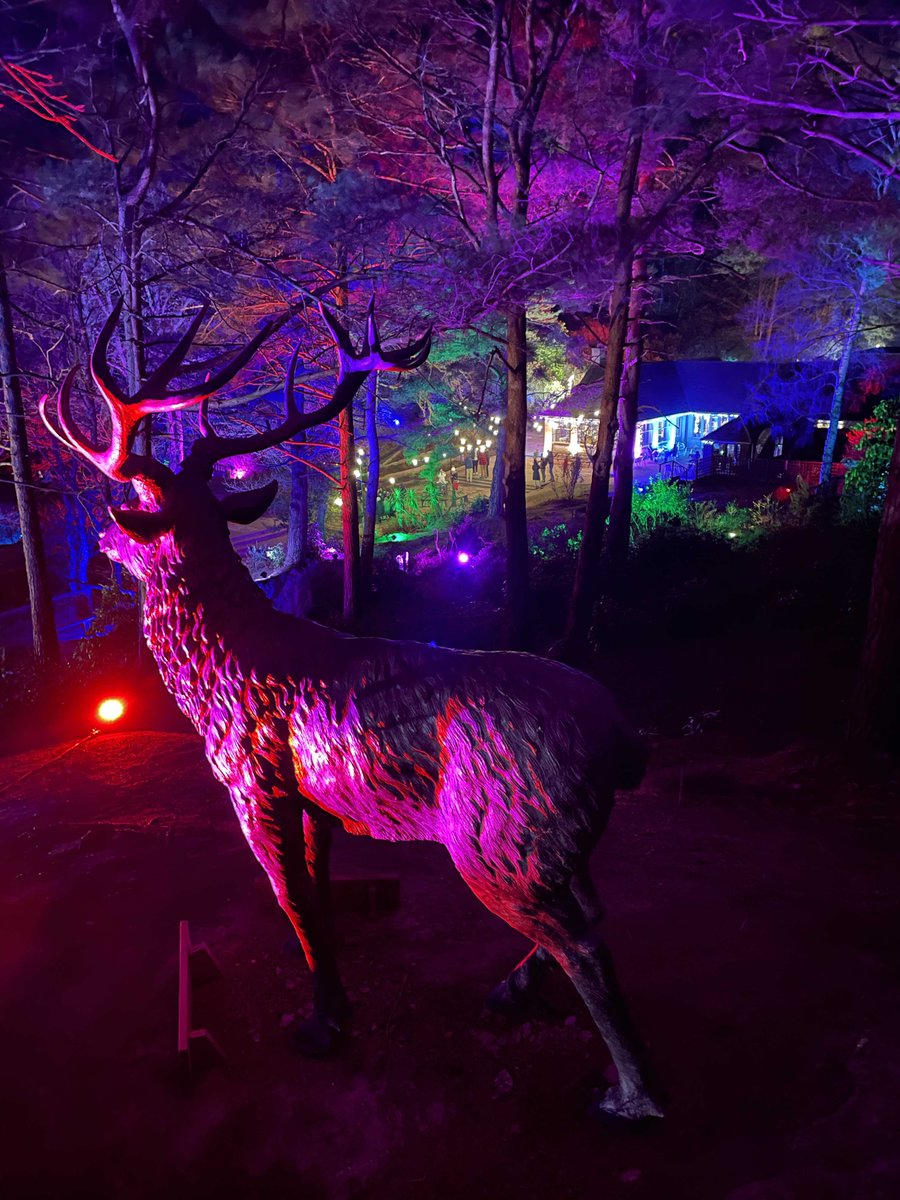 TheBluePool1's tweet photo. OPENING NEXT THURSDAY 19th JANUARY 🎉🍾 
Let's brighten up these Winter evenings! 
Tickets Available via Eventbrite -
https://t.co/y3W7ECtzcX https://t.co/r4lcNsgf3g