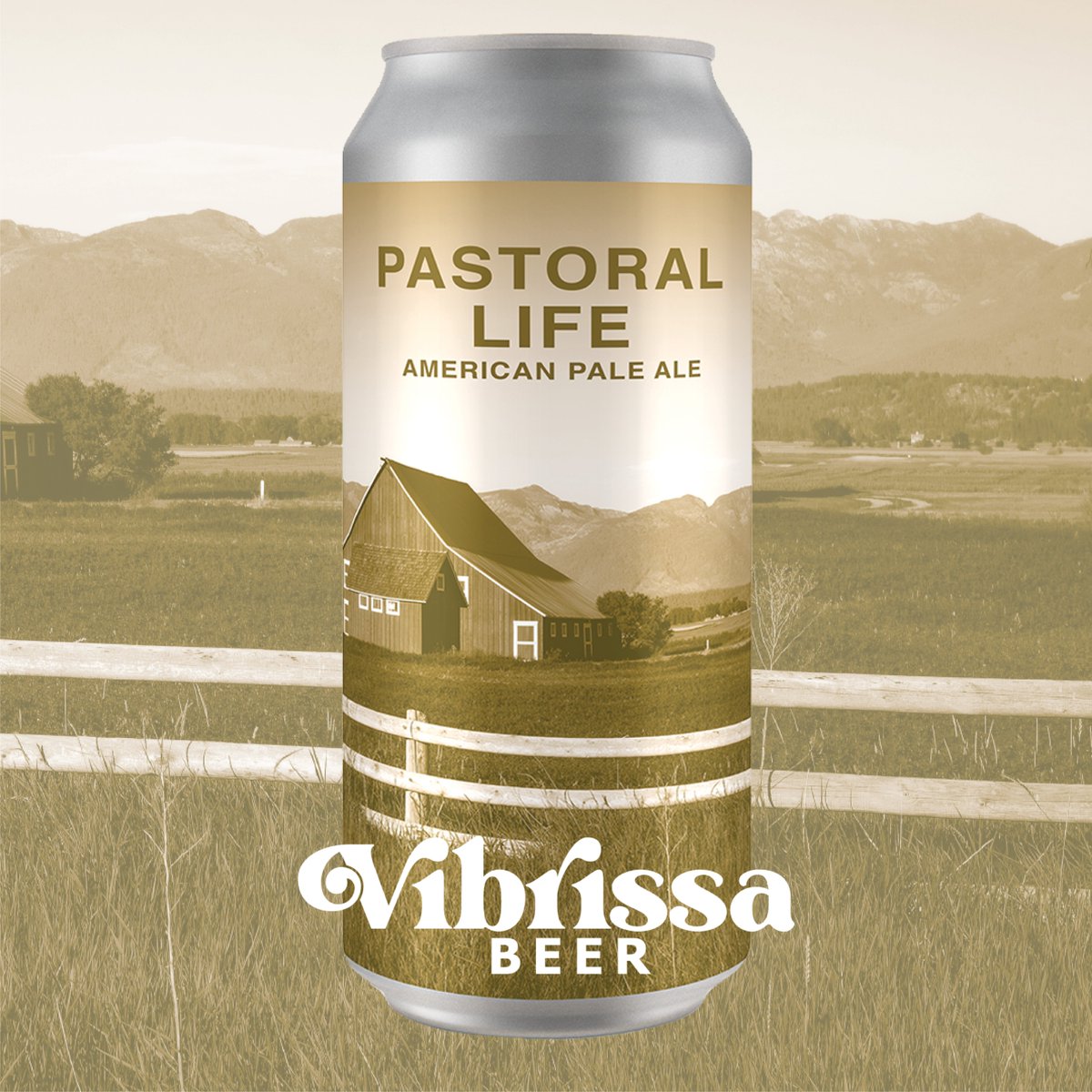 specialtybevva's tweet photo. Vibrissa Pastoral Life Pale Ale - This pale ale starts with a memorable malt bill of pale, munich, and caramel malts and is tastefully hopped with Citra and Strata for their amazing contribution of citrus and fruits. 5.1% ABV https://t.co/lwGvuc3TUb