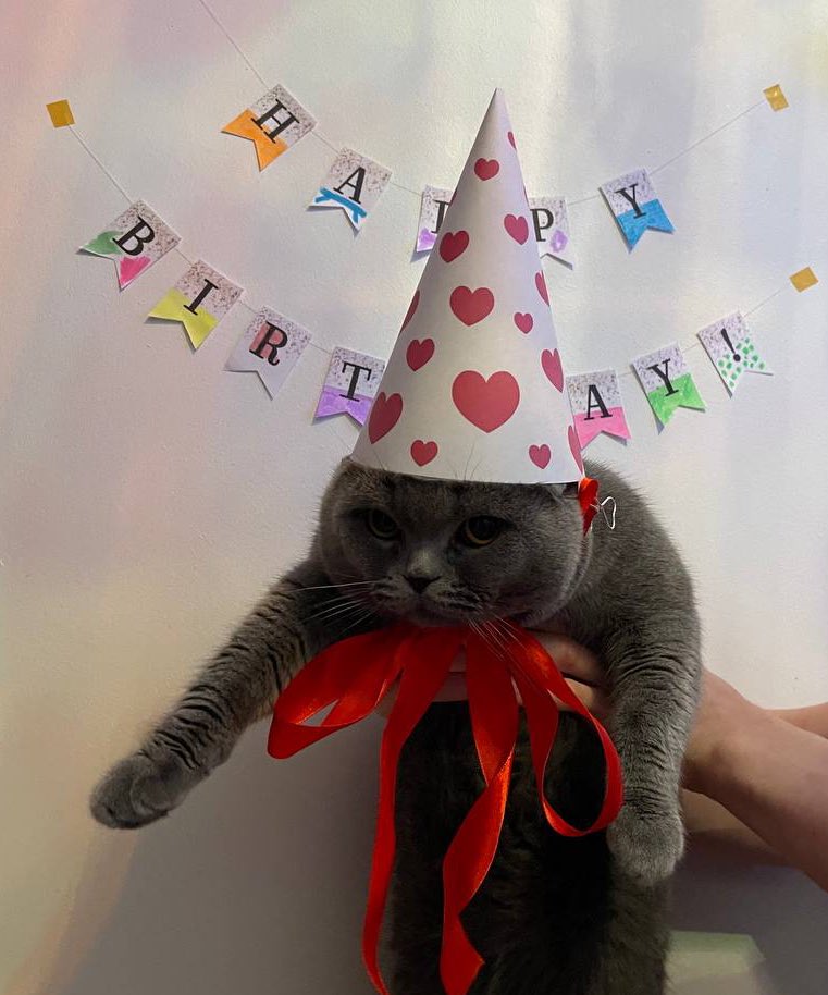 tanétta🌙🤍 tweet media