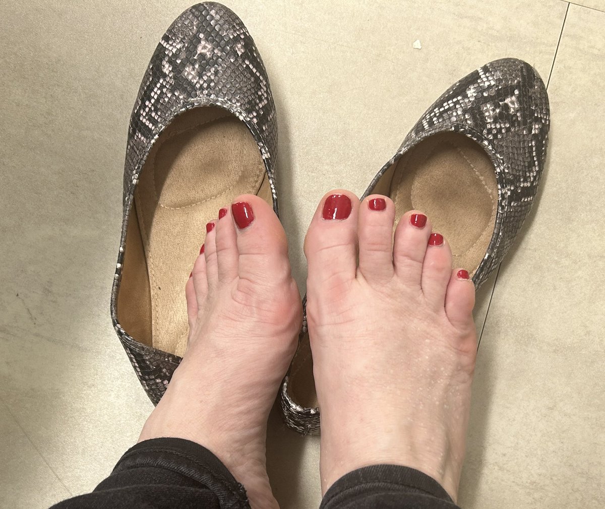 Emily Lovejoy tweet media