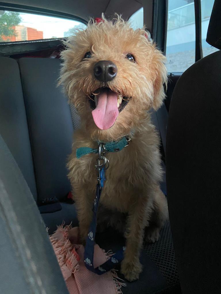 micaluuuu's tweet image. Llego el verdadero..
Cómo empezó / cómo va 🫶🏽