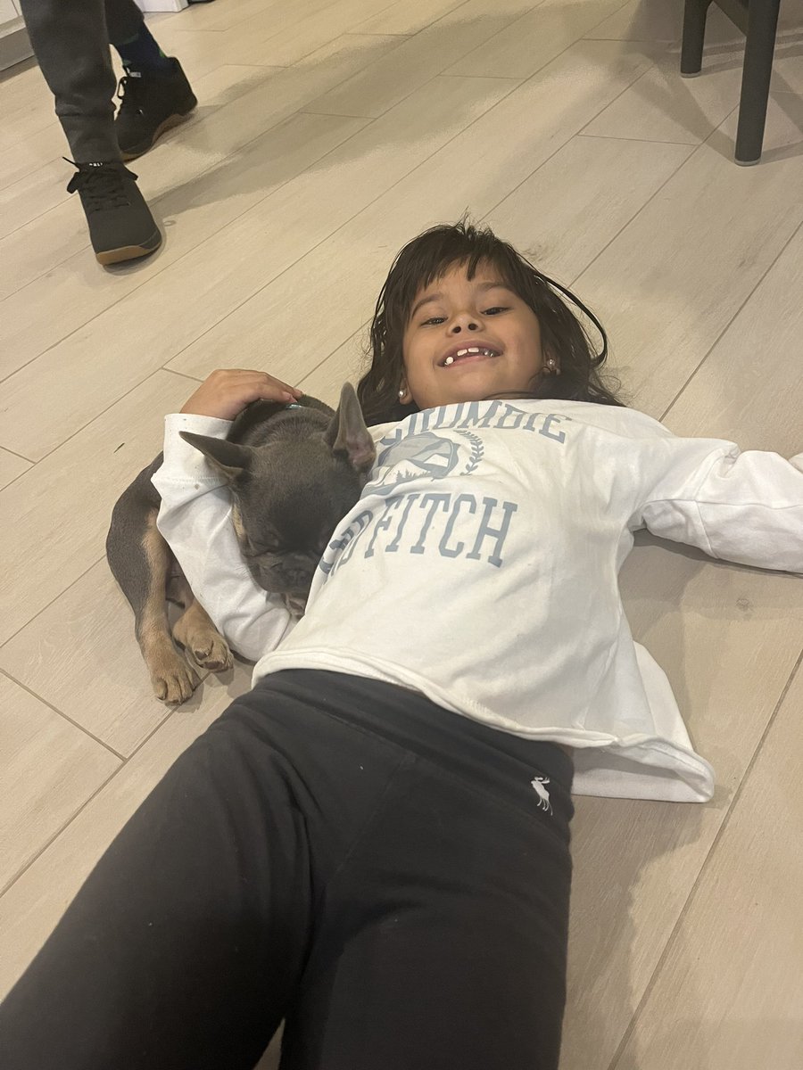 SMAlcocer14's tweet photo. We’re obsessed 🥹❤️🐾 #Frenchie #Rocco https://t.co/iRGFDbEmsh