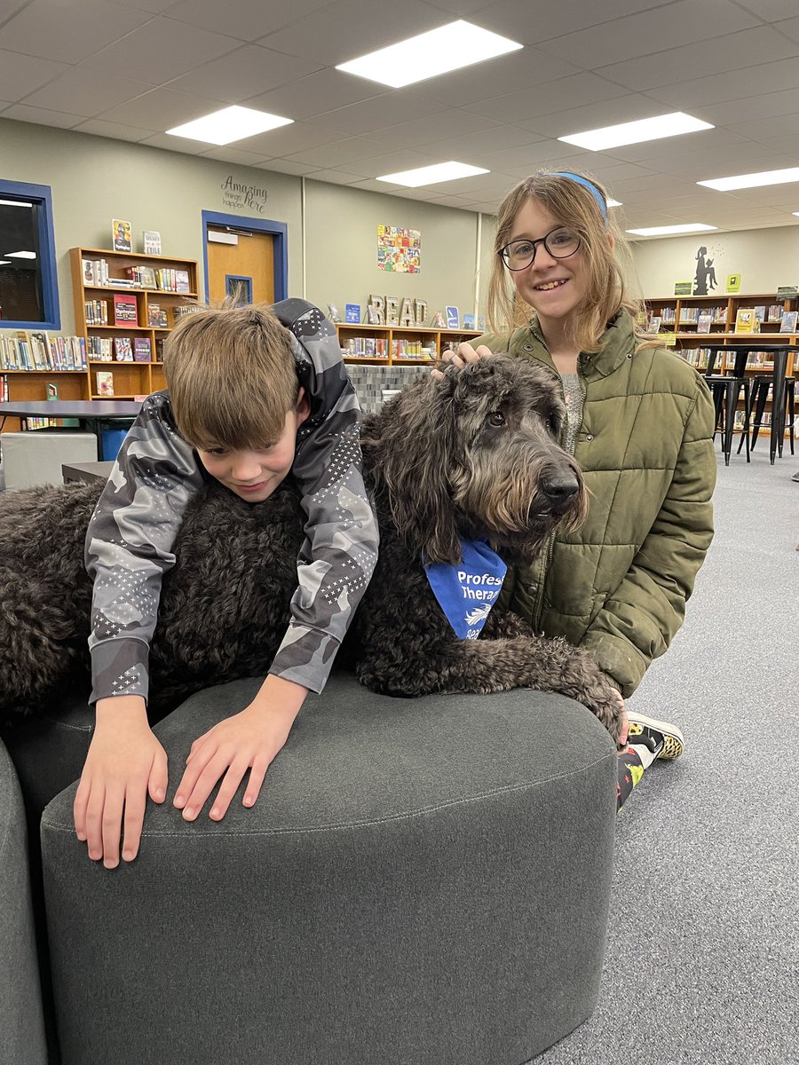 hmsbearapy's tweet photo. Thankful to be back with my people! #therapydog #SirBearReads #newyear #librarydog https://t.co/EF17jxh8UZ