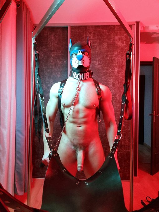 Service top mood 😈 https://t.co/G8Dp2nbcGd<a href="/tag/folsomberlin"class="tags"><span>#folsomberlin</span></a>