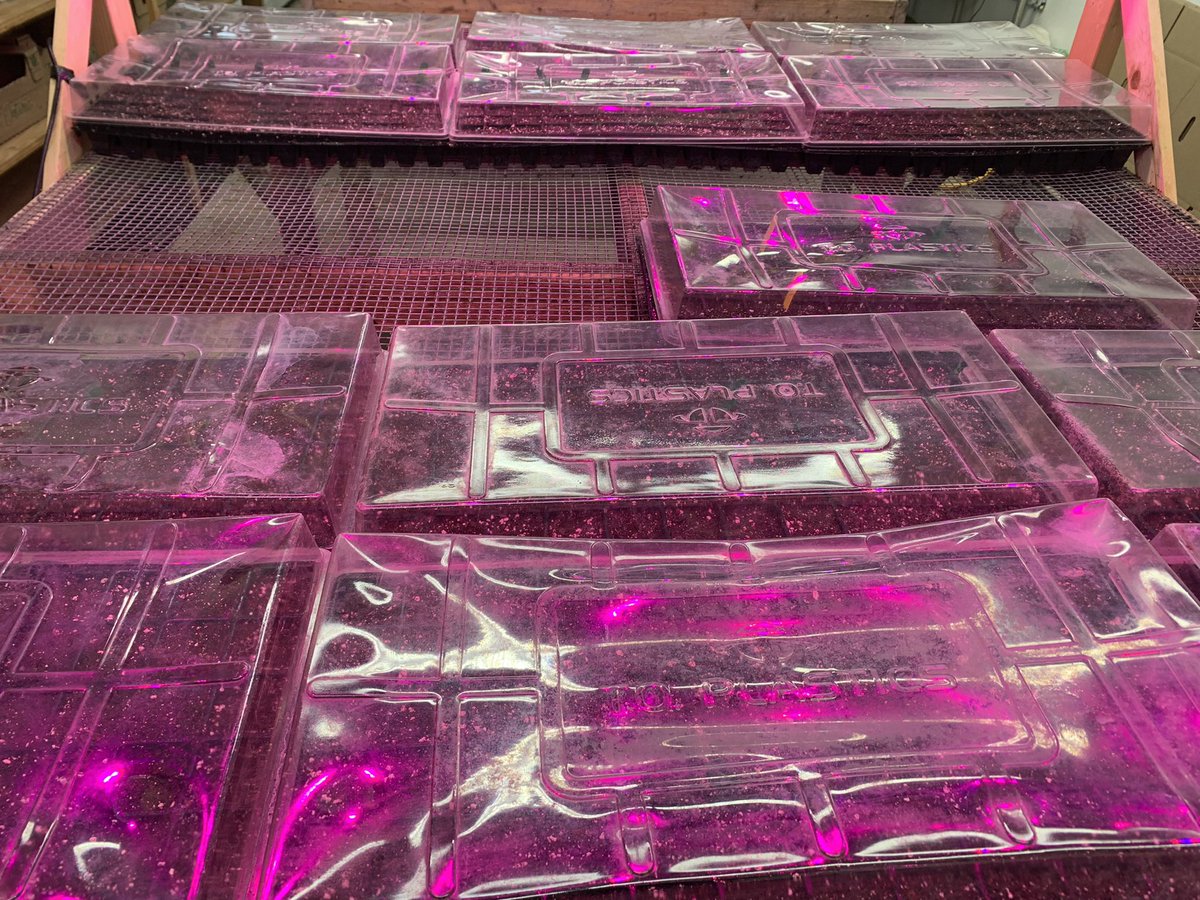 IYKYK: #plant23 underway!