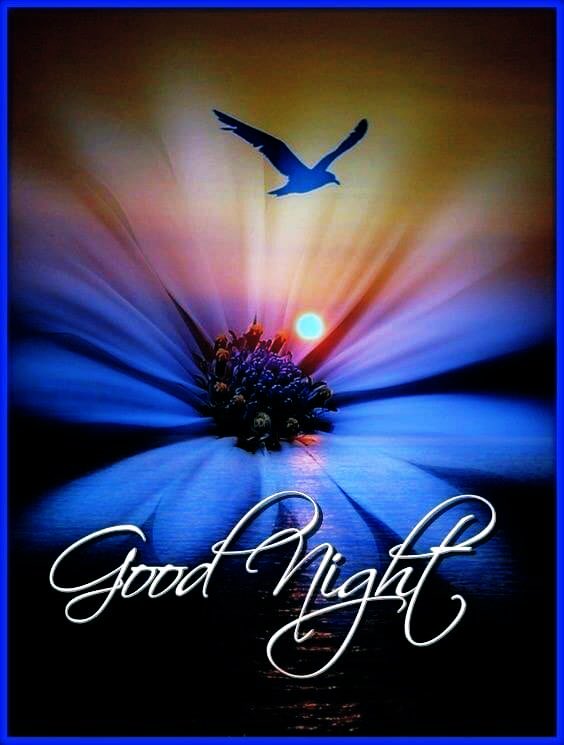 Hello, I hope you have had a good day, it’s rained constantly here ☔️. Have a good night with happy dreams🌕🌝🌕🌝🌹❤️x <a href="/cristinab_reads/">Cristina</a>