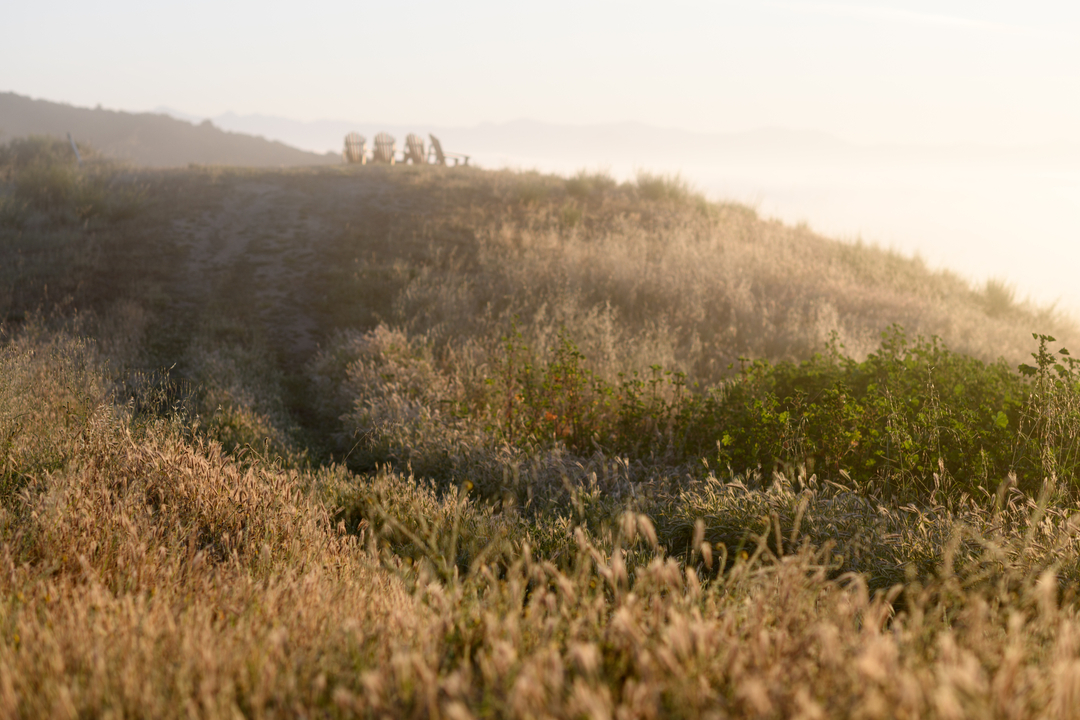 Eden_Rift's tweet photo. Looking forward to everything to come in 2023!

Including sunny days out on the Eden Rift bluff, vineyard hikes, and golden hour 🍷. What are you looking forward to this year?

📸 captured by @toomanyjimmys https://t.co/1Qx8YvwAu1