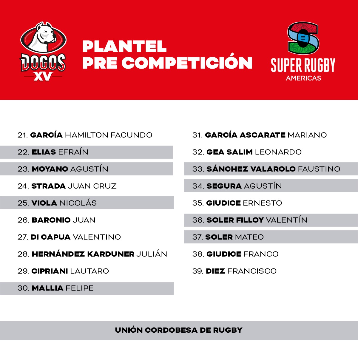 Dogos XV tweet media