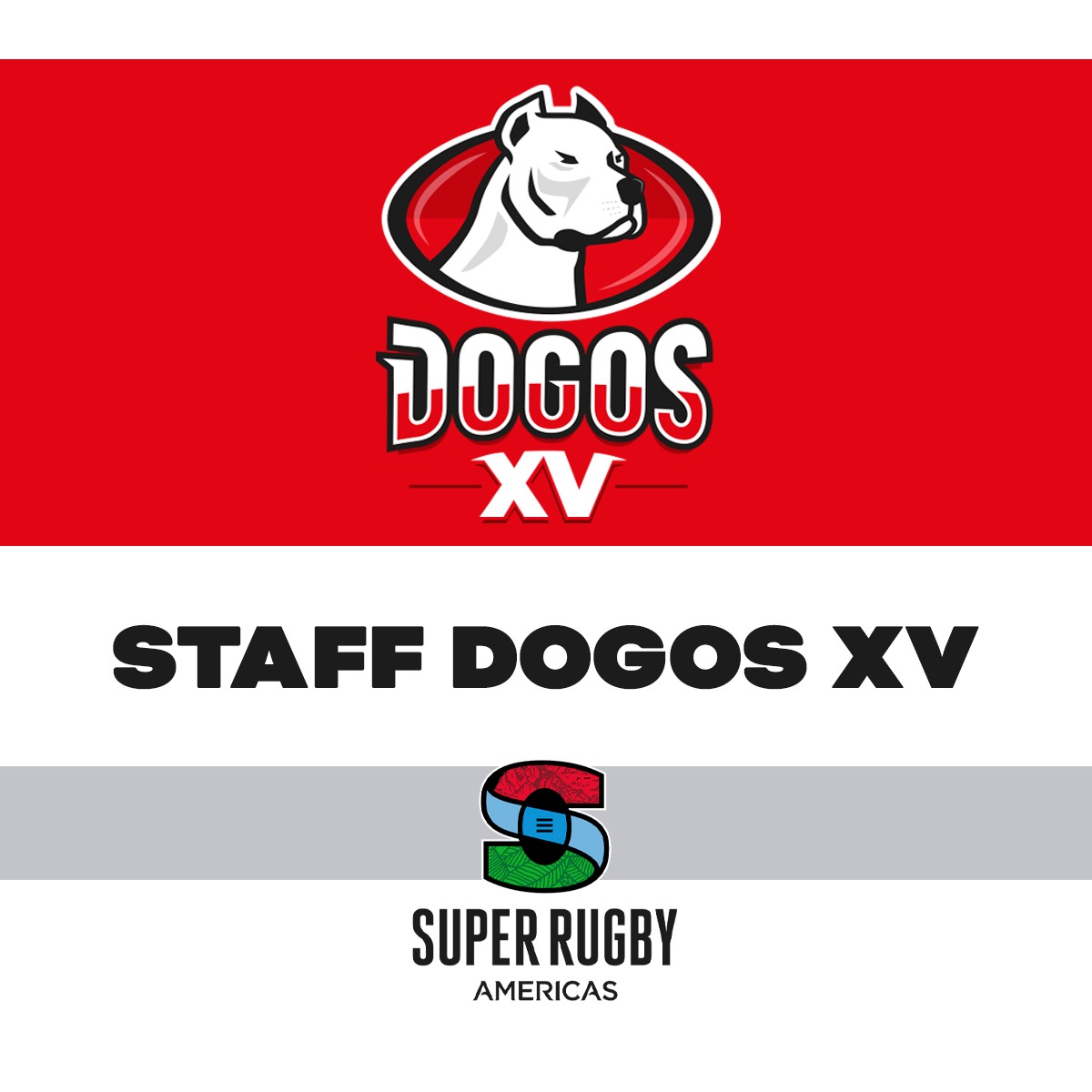 Dogos XV tweet media