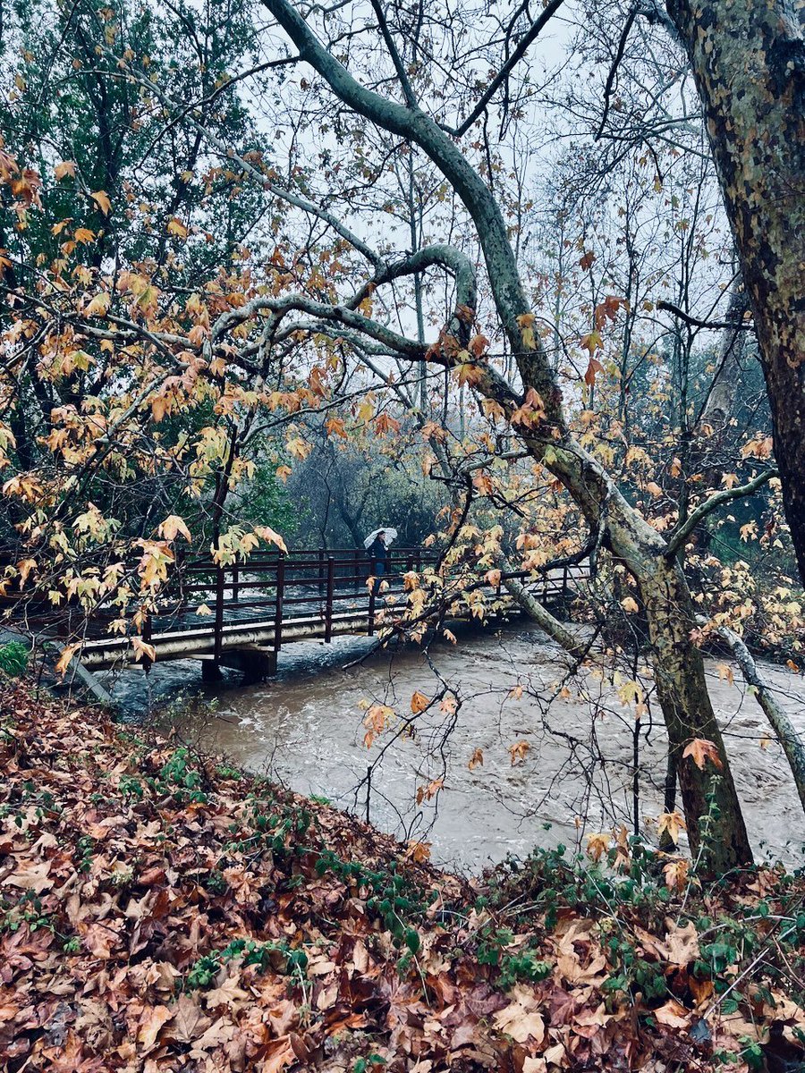 Nick Burwell 🇺🇦 tweet media