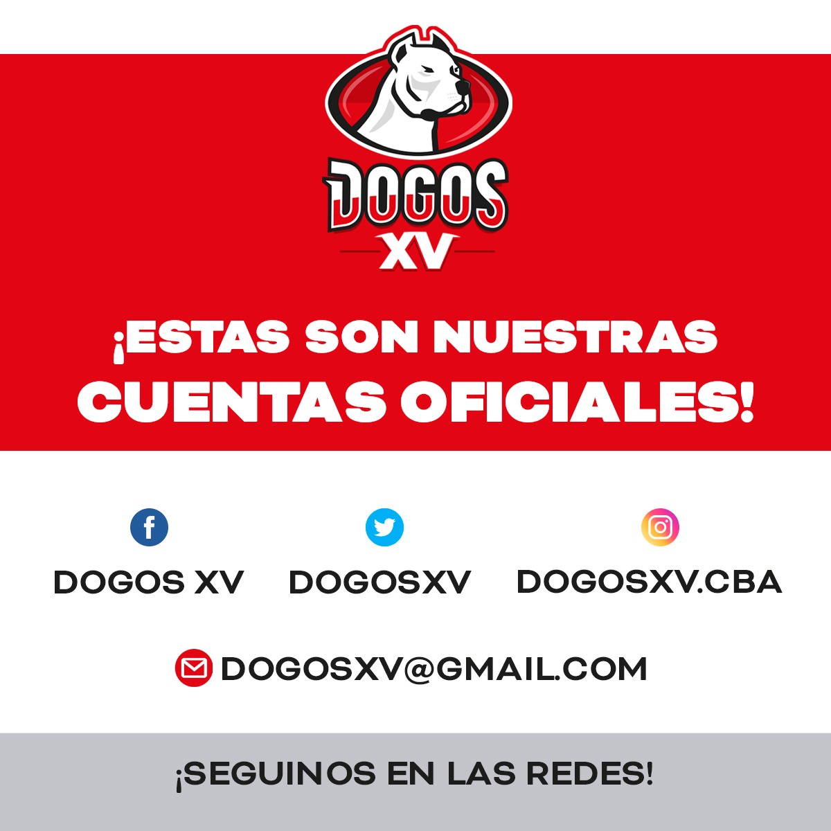Dogos XV tweet media