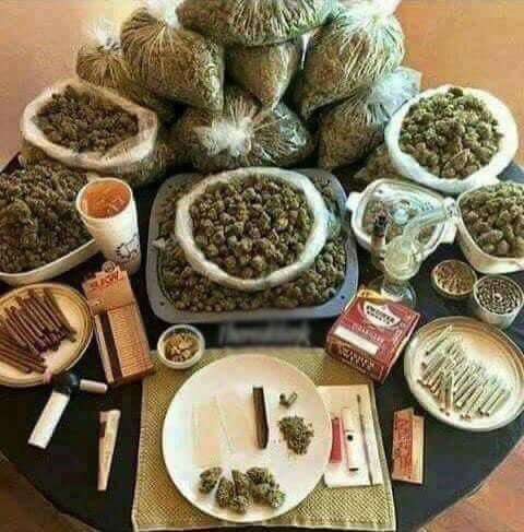 premiumcultivar's tweet photo. What’s missing from this photo? 🤔 https://t.co/36gjJexEOe