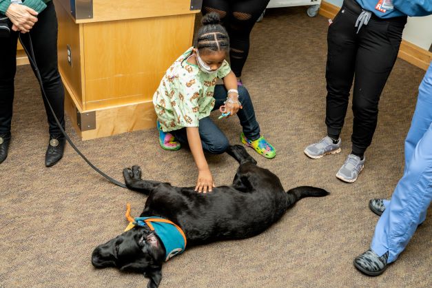 WMCHealth's tweet photo. We are grateful to announce our friends at @GoodDogTherapy have resumed their visits with our patients – starting with a visit from Leslie and her dog Echo! https://t.co/BW7T2rRKsu