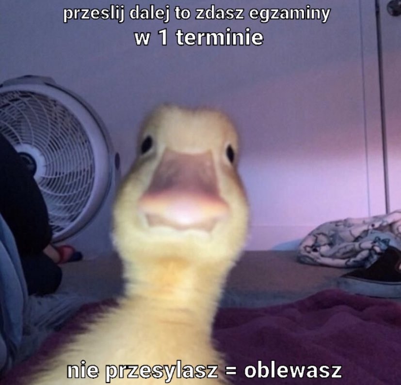 oopsmypayno's tweet image. Od jutra zaczynam swoje pierwsze egzaminy oraz zaliczenia także 😬#studia2023