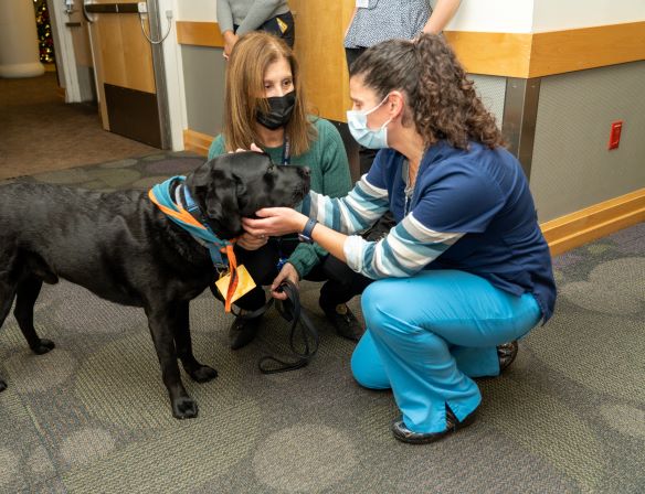 WMCHealth's tweet photo. Good Dog deploys trained volunteers &amp; their dogs to help individuals recover from stress, trauma &amp; disease or cope with disabilities and injuries. For information on how to become a volunteer with Good Dog &amp; train with your dog as a pet therapy provider: 
https://t.co/SObqDcvJTF https://t.co/zRdzIhIdkS