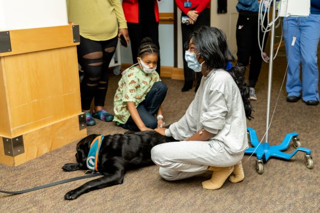 WMCHealth's tweet photo. Good Dog deploys trained volunteers &amp; their dogs to help individuals recover from stress, trauma &amp; disease or cope with disabilities and injuries. For information on how to become a volunteer with Good Dog &amp; train with your dog as a pet therapy provider: 
https://t.co/SObqDcvJTF https://t.co/zRdzIhIdkS
