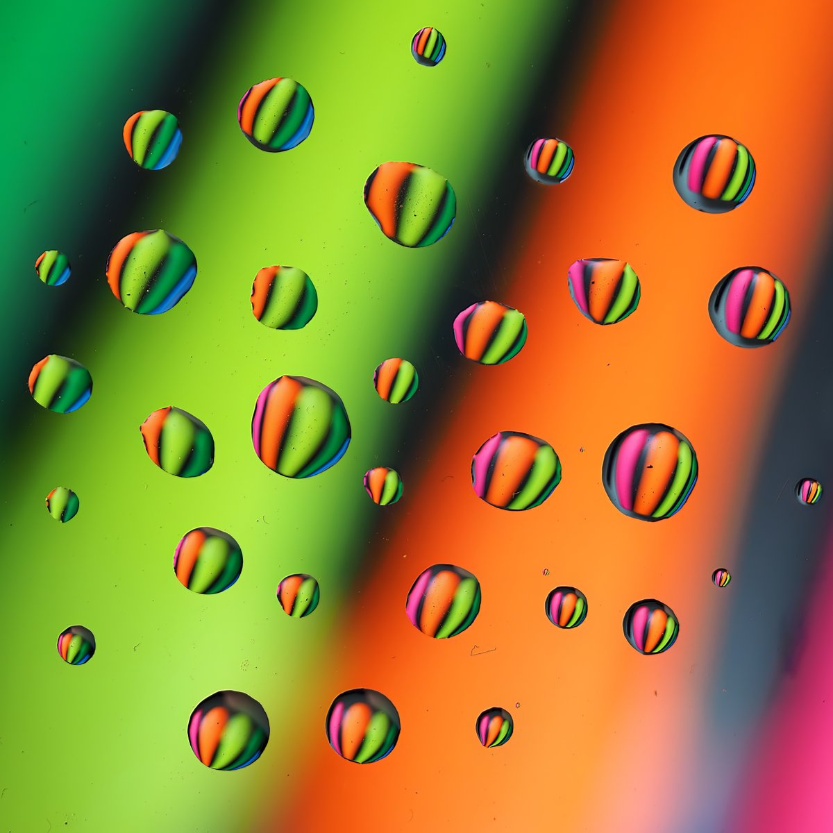 A few more rainy day pics.