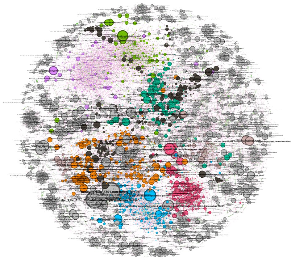 Building a pangenome brain. The big nodes are the ones that have the most influence over what other genes are to be found in a bacterial genome. Hoping we can use this in a way to combat antibiotic resistance. We shall see.