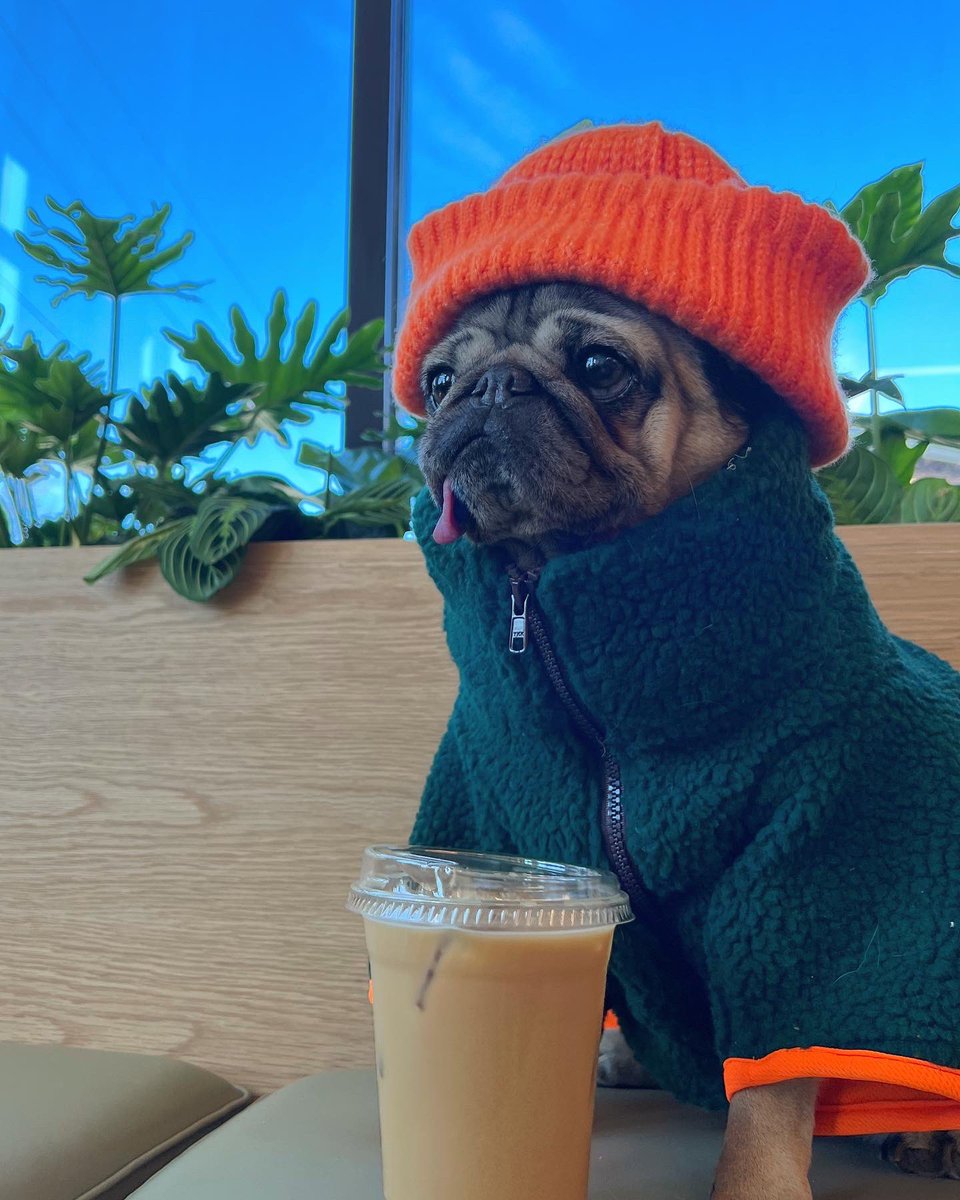 When the coffee hits and the bathroom is taken 😳