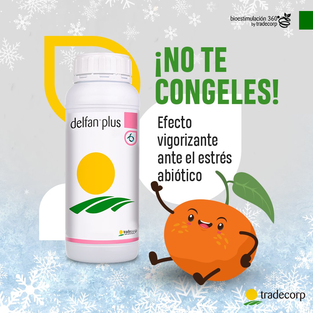 TradecorpMx's tweet photo. ¡No dejes que se congelen!🍊❄

delfan plus es un eficiente bioestimulante anti-estrés abiótico con la máxima concentración de L-α aminoácidos libres, recomendado para uso en etapas críticas del cultivo.

#agro #agricultura #agronomia #Tradecorp #bioestimulacion360 #aminoacido https://t.co/w7bCgyOlQl