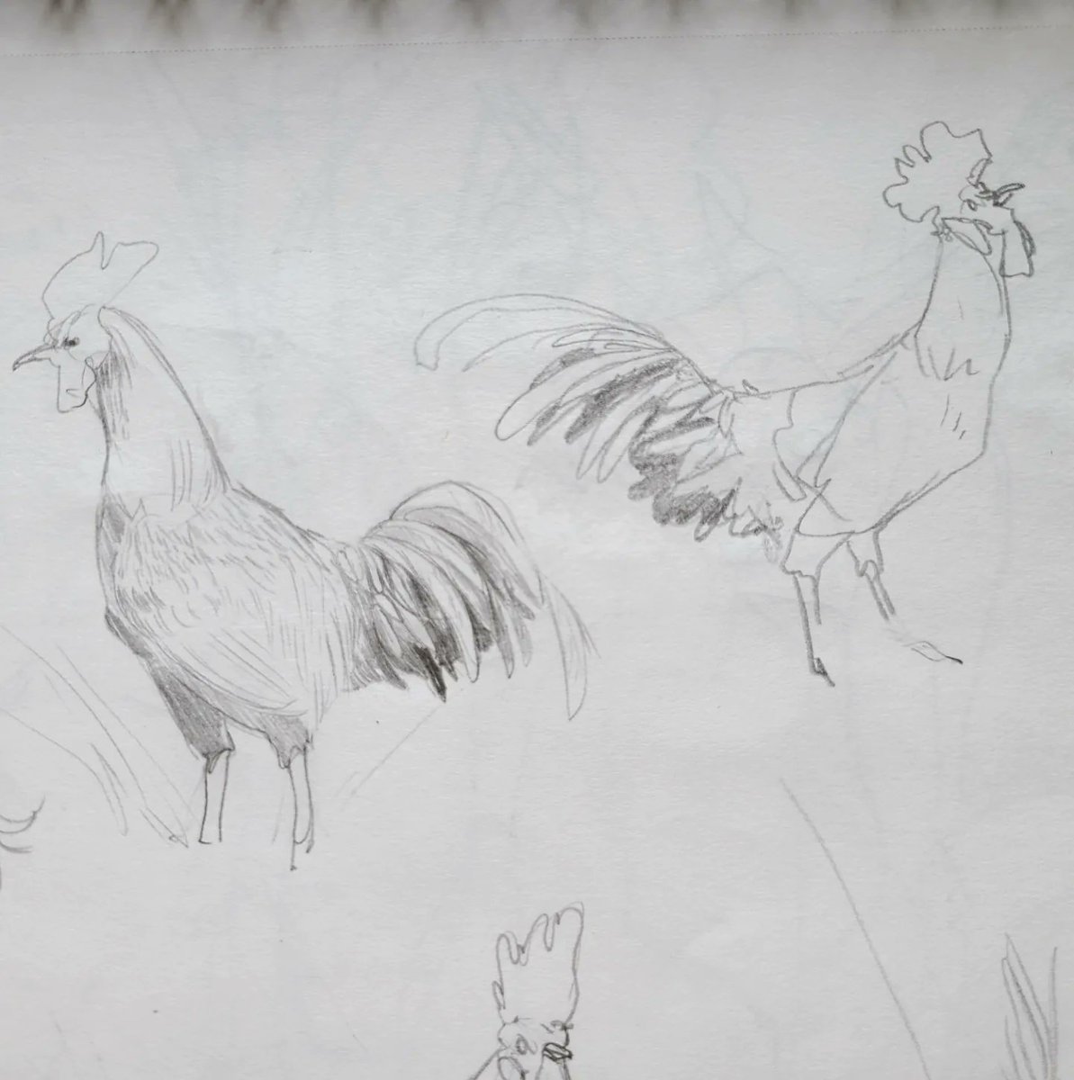 Arts_District's tweet photo. My new year's resolution is to share more of my art on every platform. Enjoy these rooster doodles. https://t.co/wECoVZCfv2