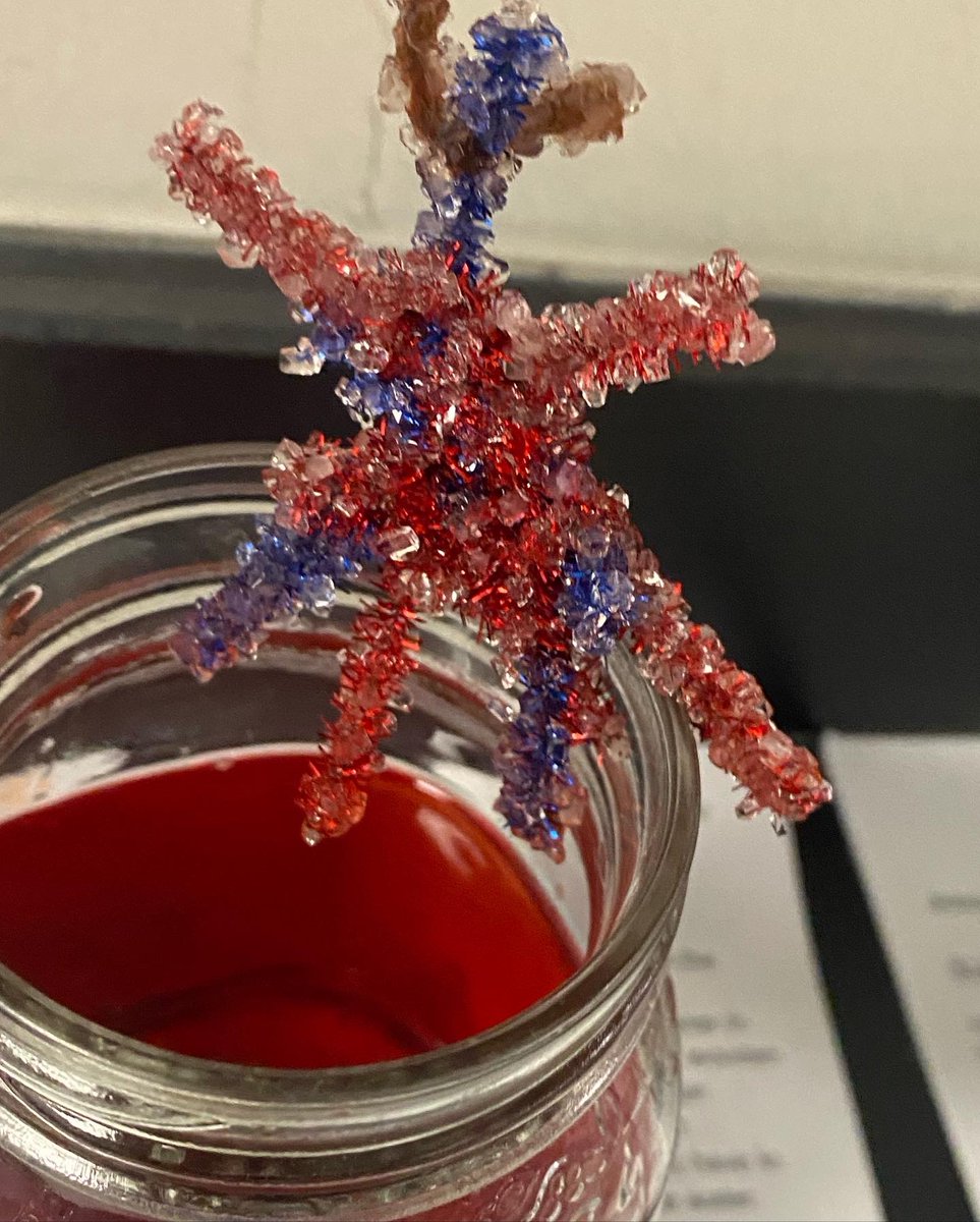 Ms. Howard M.Ed. tweet media