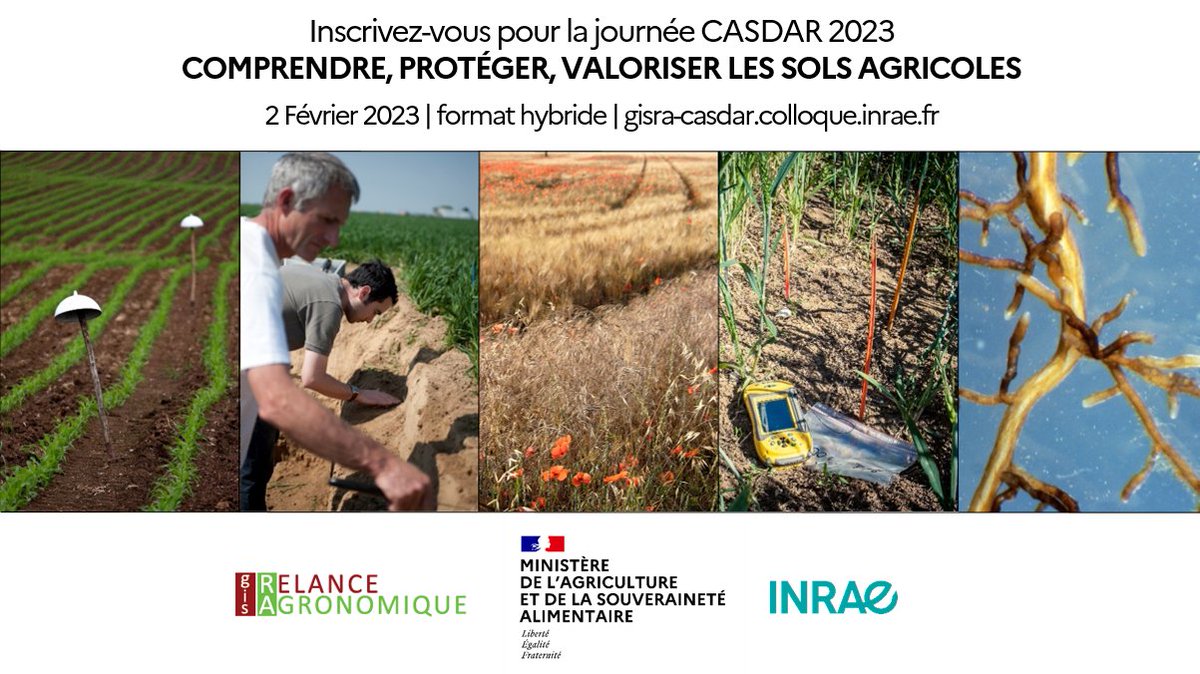 📅2 Fev, Paris et en ligne
Comprendre, protéger, valoriser les #sols agricoles🌱
▶️ les sols et leur diversité,
▶️ valorisation des connaissances,
▶️ les cercles vertueux de la préservation des sols,
▶️ l’évolution des pratiques culturales.
Inscrivez-vous url.inrae.fr/3AnUwqL