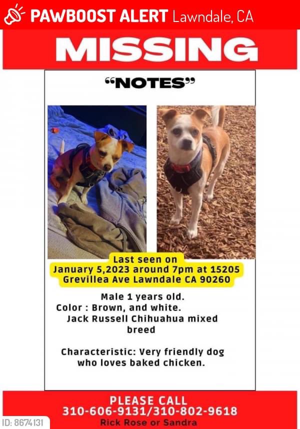 KivaRichardson's tweet photo. Please spread the word! My Friend Rick’s Dog “Notes” was LOST on January 5, 2023 in Lawndale, CA 90260 near 152nd Street. Praying Notes safe return 🙏🏽 #pawboost #LosAngeles https://t.co/8rYLTFnqh0