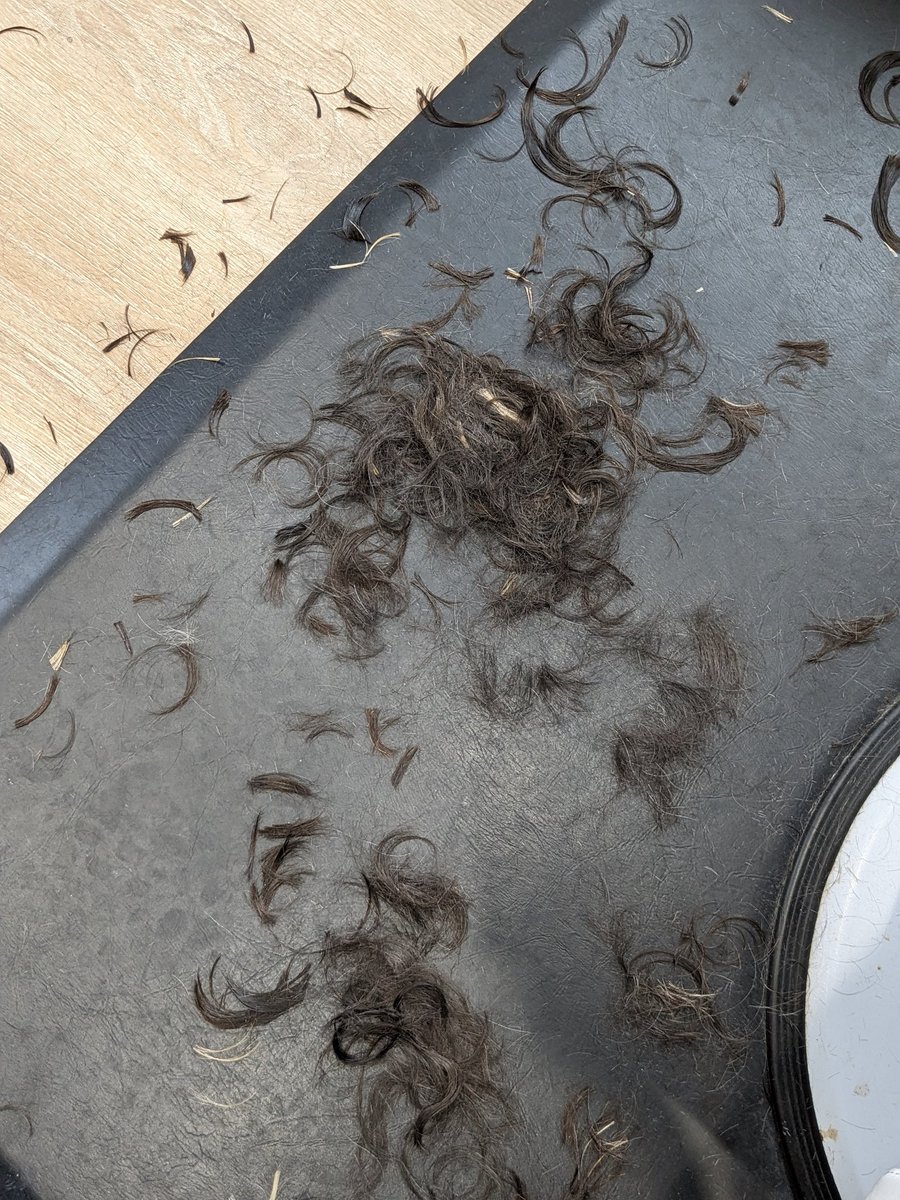 Vana 🍉 tweet media