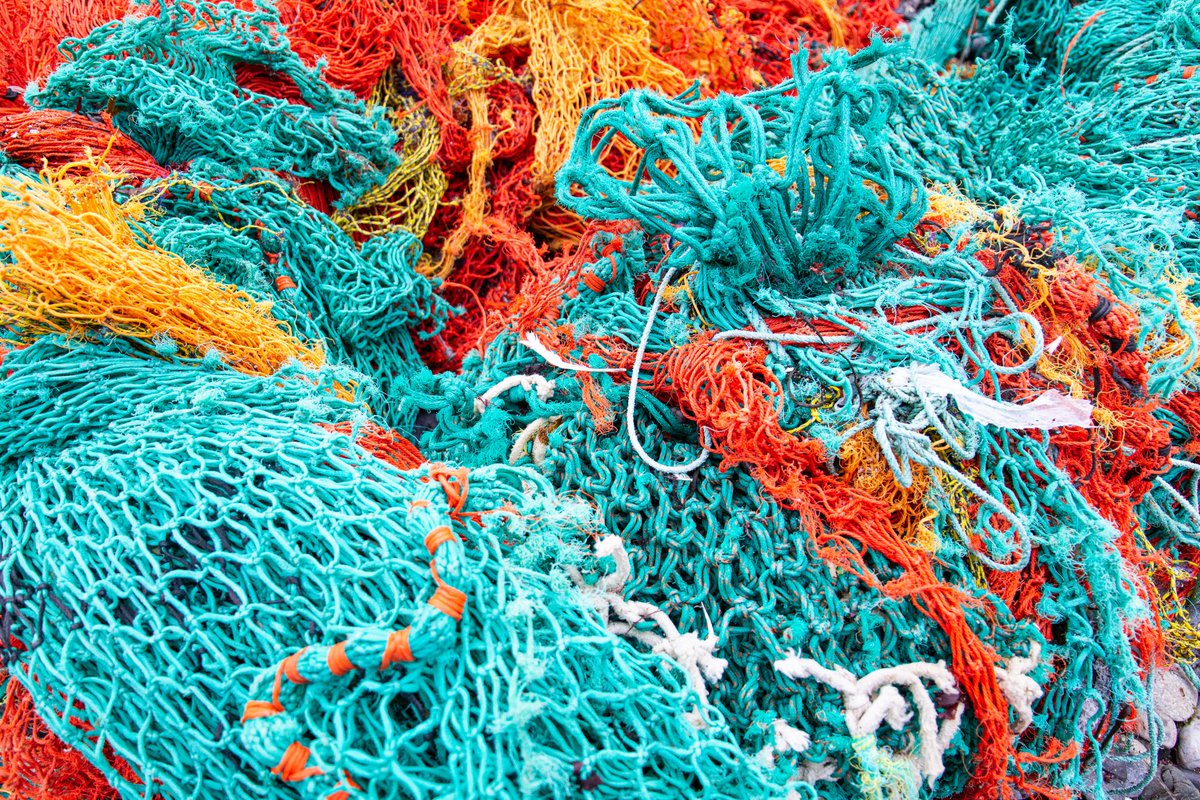 Ghost fishing gear is the most common form of plastic in the ocean, with an additional 640,000 tonnes ending up in our oceans every year.

You can notify us of ghost net sightings across our coastlines, and we'll strive to recover them to prevent further damage to marine life. 🌊