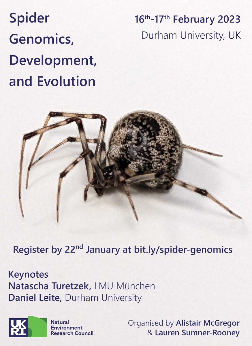 @McGregorLab and I are hosting a meeting on #spider genomes, development, and evolution supported by <a href="/NERCscience/">Natural Environment Research Council</a>! 🕷️🧬

Join us at <a href="/durham_uni/">Durham University</a> 16-17 Feb for talks and discussions, with keynotes by @Nturetz and Daniel Leite!

Registration/abstracts open! 👉🏽bit.ly/spider-genomics