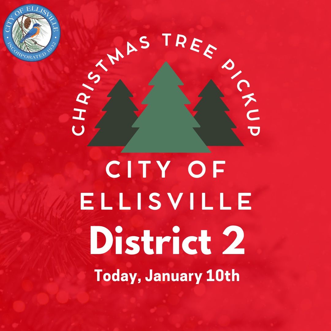 District 2 Christmas Tree Pickup is today!
