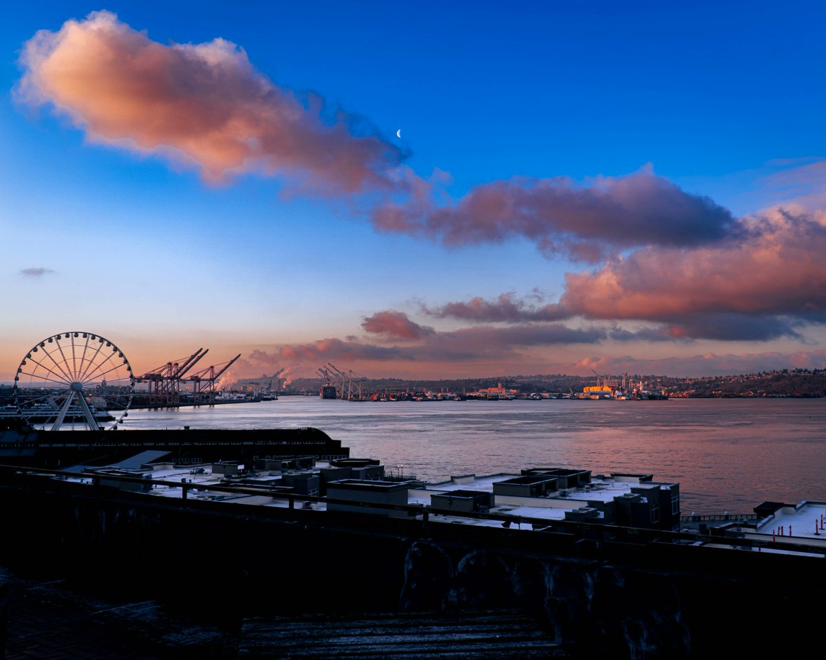RidinTheUnknown's tweet photo. My final shots from Seattle, it was a wonderful, unexpected weekend. #sony #seattle #travel #photography #travelphotography #travelgram #wanderlust #adventure #instatravel #explore #traveling #Travelholic #TravelAddict #travelmore https://t.co/34teunTw5N
