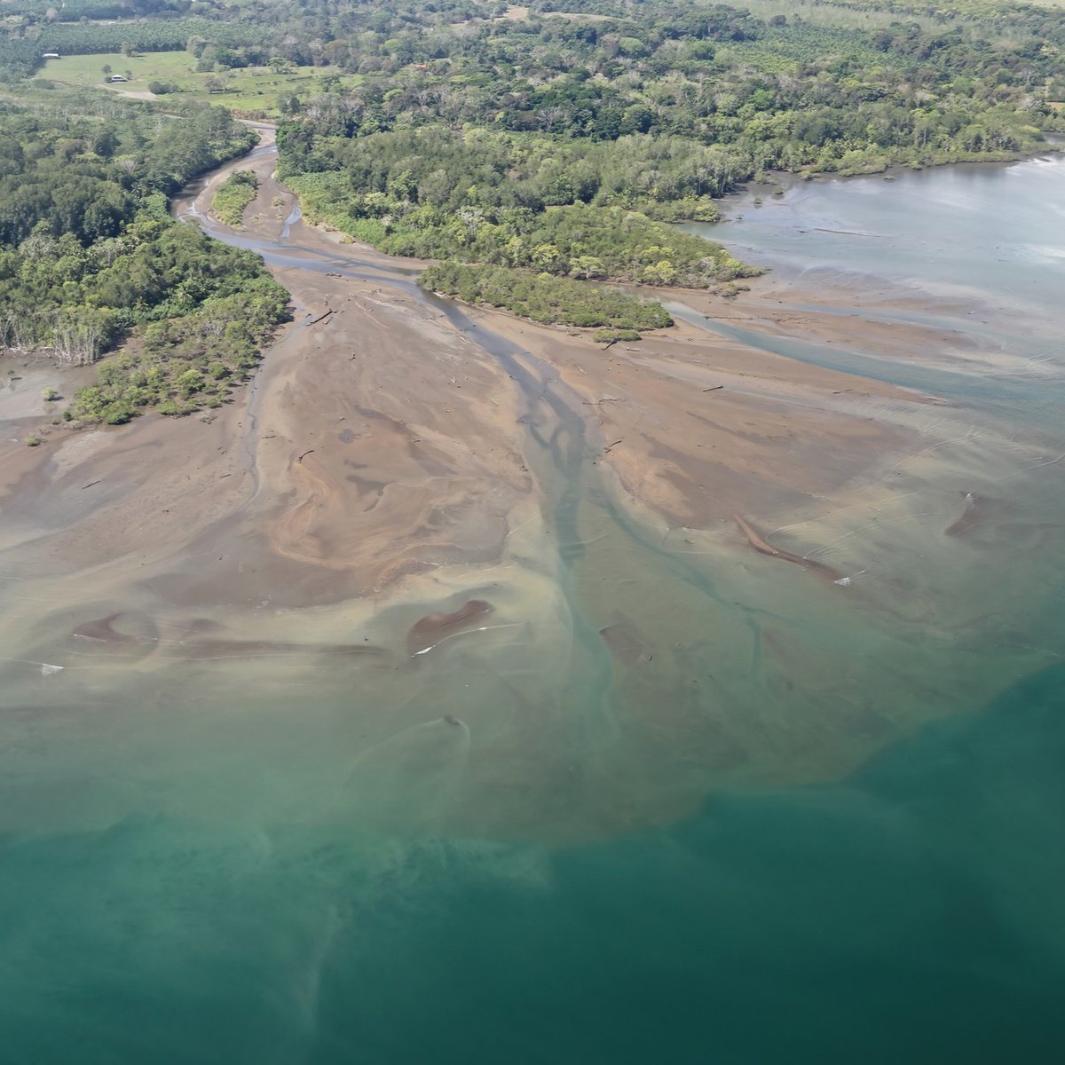 sequoiasci's tweet photo. Join Sequoia in Austin, Texas at the Battelle Sediments Conference at #223. Learn about Sequoia LISST product technology &amp; our current and future grant funded projects &amp; teaming arrangements.  
https://t.co/t1cnDUqzC8 
#LISST #BattelleSediments #ParticleIntelligence https://t.co/9KYxZOWPSY