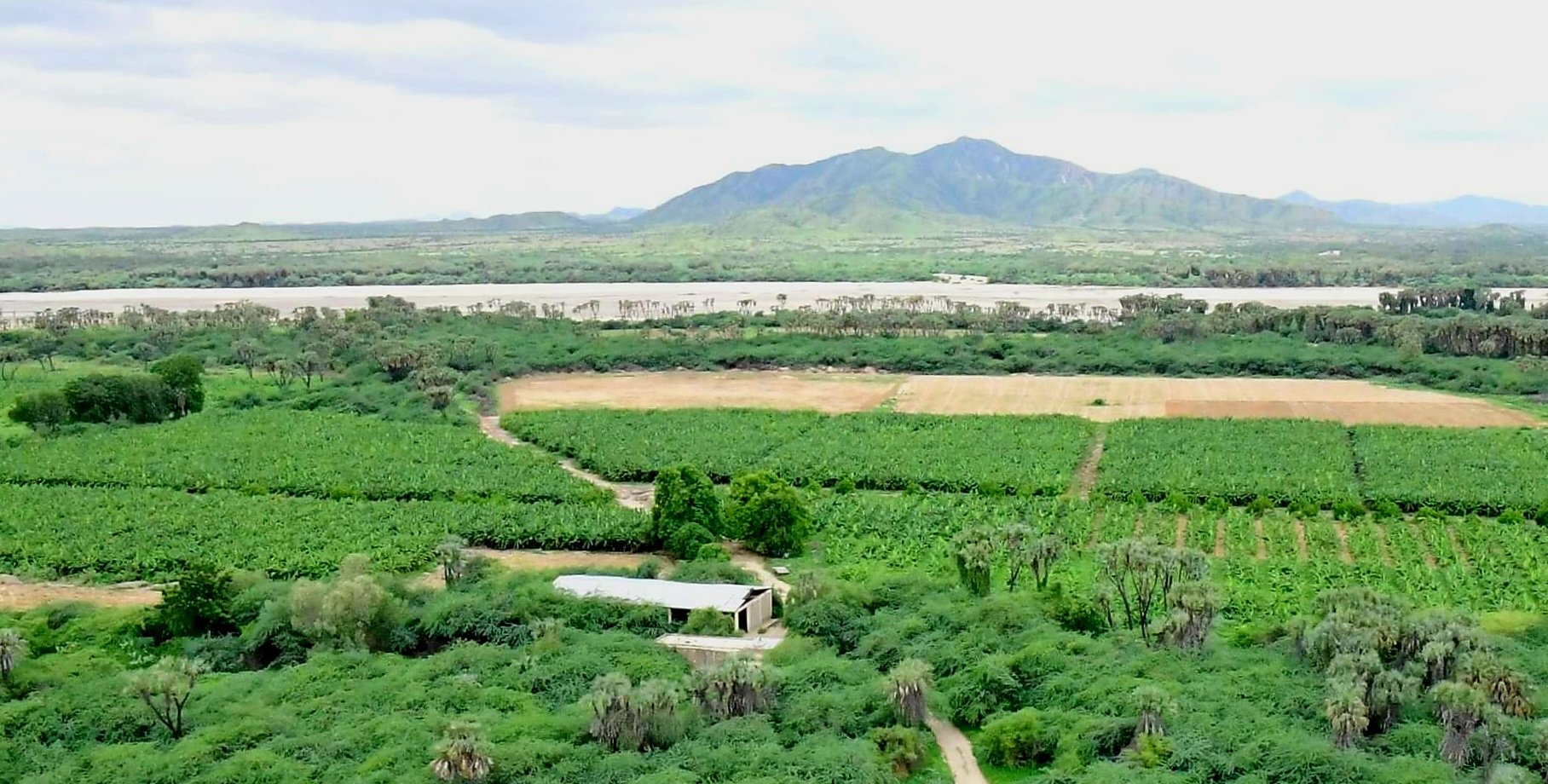 ኤርትራ 🇪🇷 ERITREA on Twitter "The vast agricultural land of GashBark 