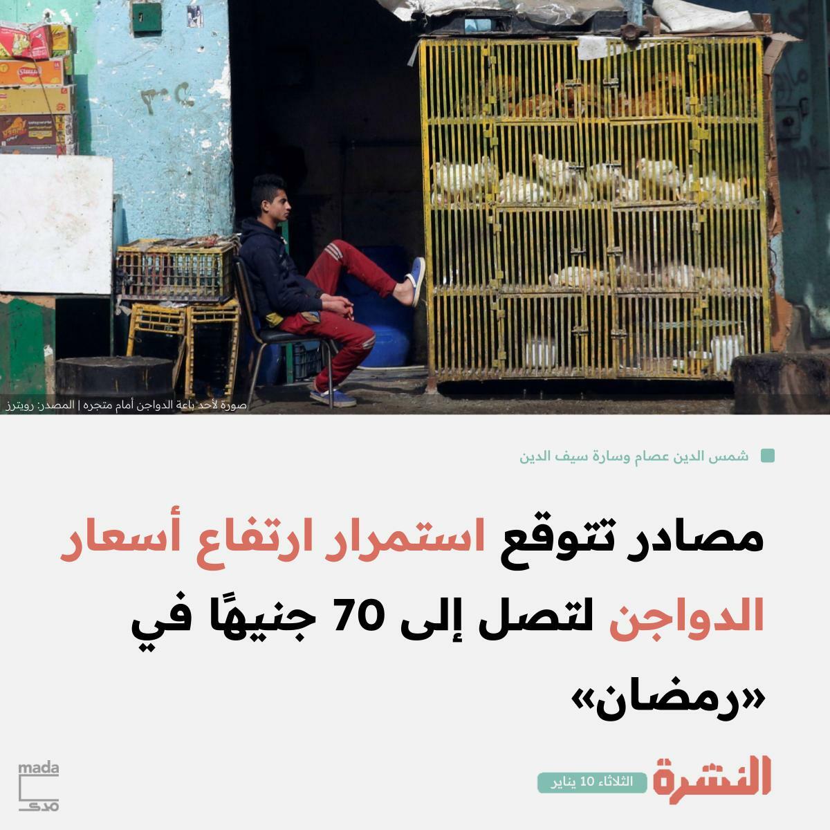 بعد ارتفاع أسعار الكتاكيت إلى 18 جنيهًا للكتكوت، واستمرار ارتفاع أسعار الأعلاف، تتفاقم عدم قدرة صغار...