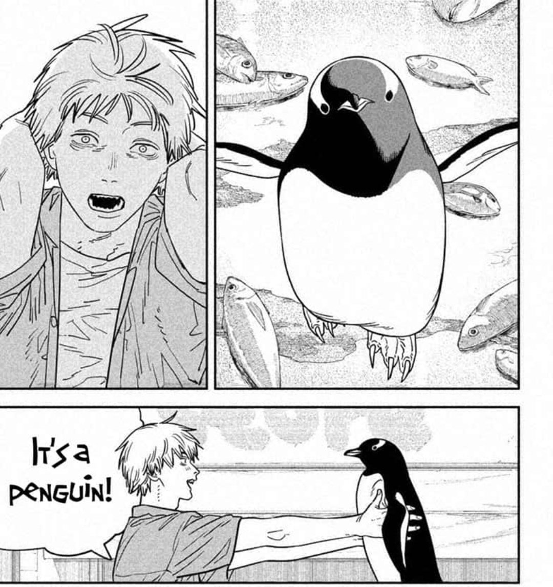 Newest csm chapter is literally made for me bc not only does it have penguins it has a GENTOO penguin which is my fav 