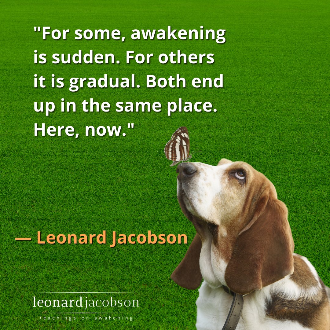 LeonardJacobson's tweet photo. "For some, awakening is sudden. For others it is gradual. Both end up in the same place. Here, now."
Discover more at https://t.co/9hYmUUkpFG
#quotes #quoteoftheday #awakeing #meditation https://t.co/BOc5sCxAoO