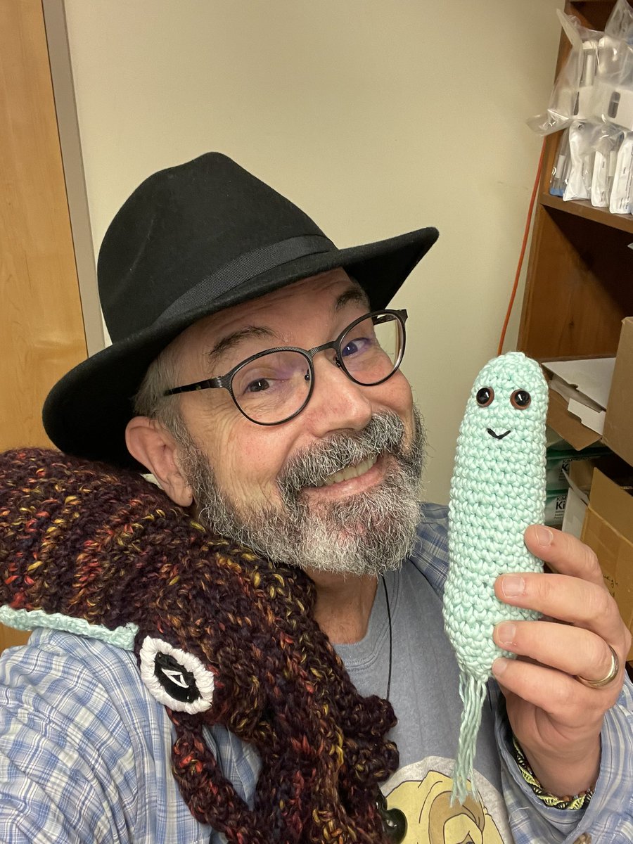markowenmartin's tweet photo. Trying to feel more upbeat. Look at this lovely gift from my #SecretSerratia! Crocheted Euprymna scolopes and Vibrio fischeri. And they glow in the dark appropriately! So I may not feel wonderful about myself, but there are folks who view me kindly. #Grateful https://t.co/d0XhiMvJSP