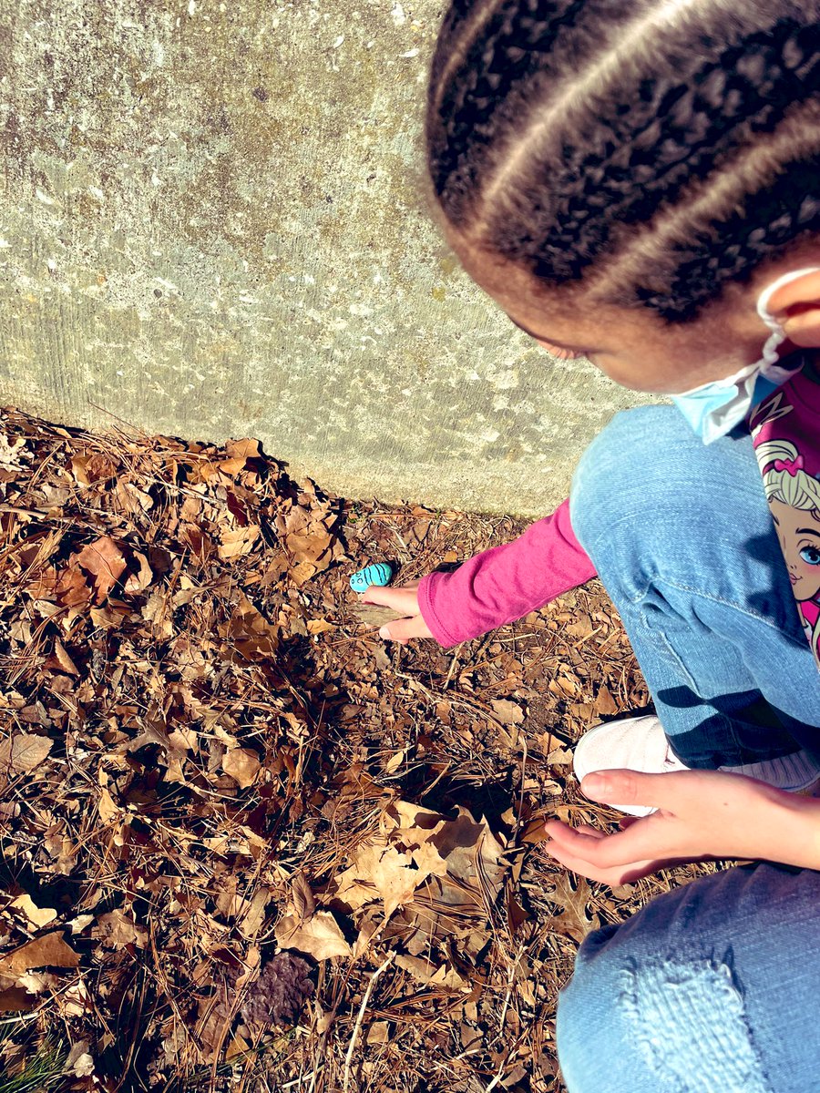 Megan McFadden tweet media