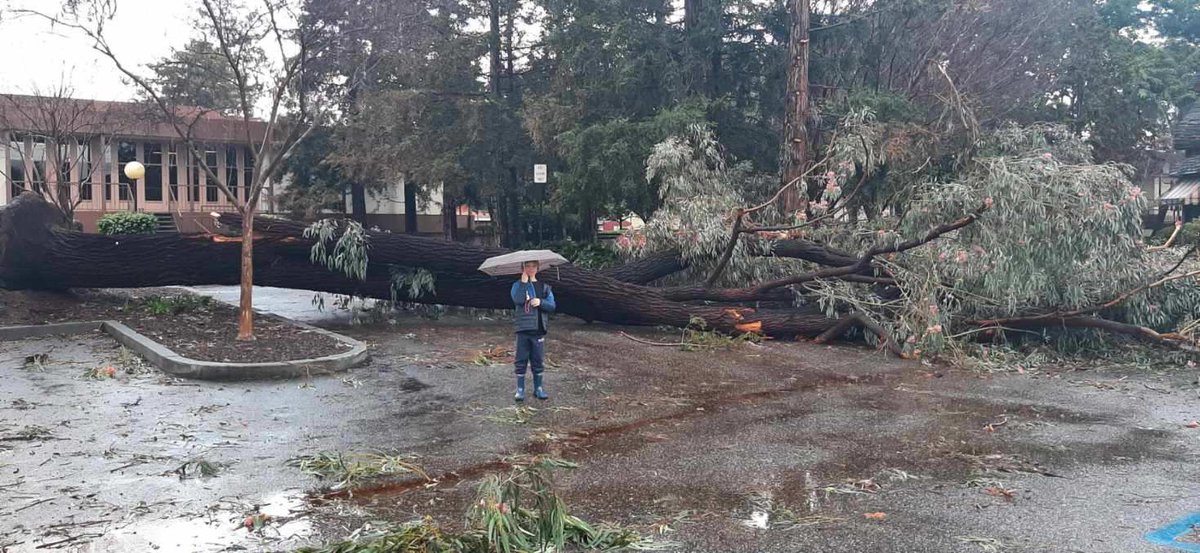 Campbell95008's tweet photo. #Atmosphericriver #Atmosphericrivers #stormdamage #CaStormdamage #SantaClaraCounty #CampbellCA
Location:  Parking lot adjacent to Ansley House and original Campbell Library. https://t.co/VGWI3bD2Sx