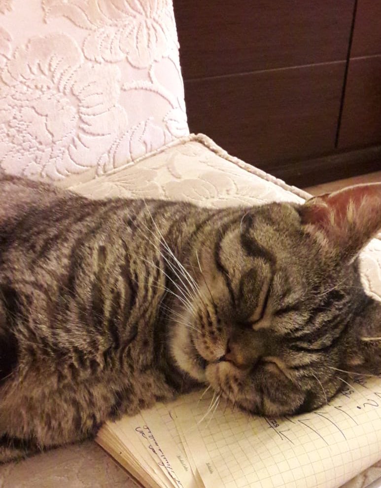 Hala yuva arıyoruz!!!!
‼️ANKARA YUVA‼️