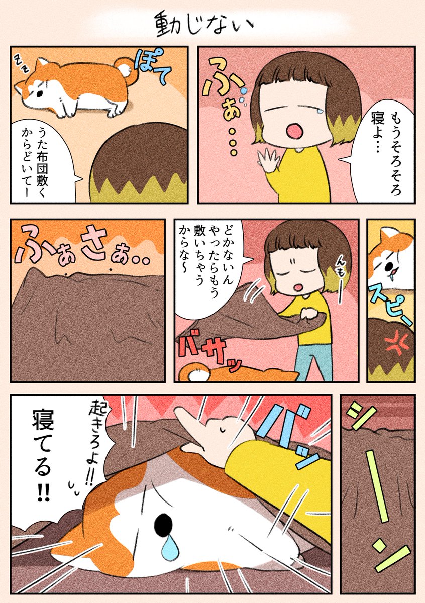 夜遅くにすみません!
「動じない」
びっくりして起きたりするのかな…と思ったら全く気にせずなうたでした(笑)
#漫画が読めるハッシュタグ
#日常
#犬